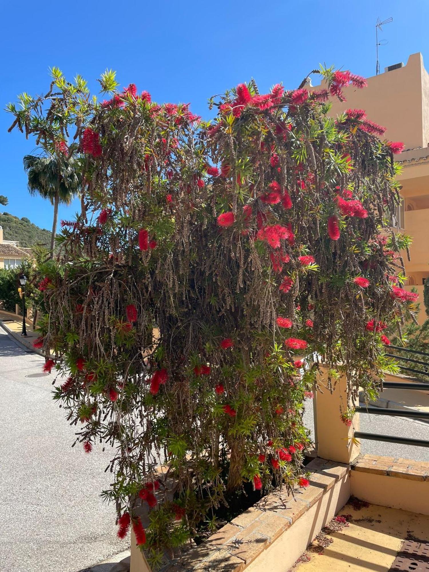 Santa Maria Village, Elviria, Marbella Eksteriør billede
